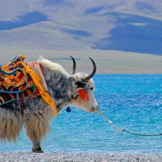 lhasa-namtso-lake-ebc-tour